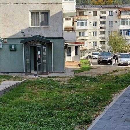 Apartament Brezoi Apartment Bagian luar foto