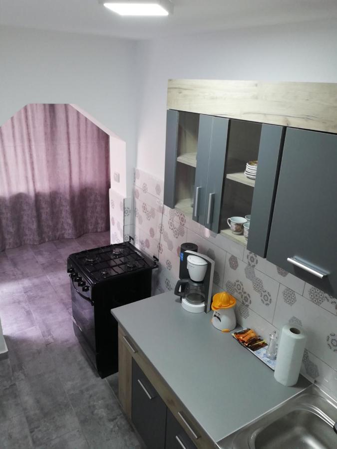 Apartament Brezoi Apartment Bagian luar foto