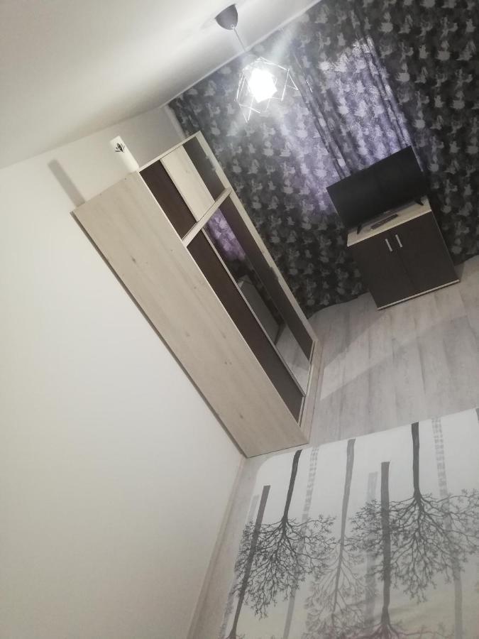 Apartament Brezoi Apartment Bagian luar foto