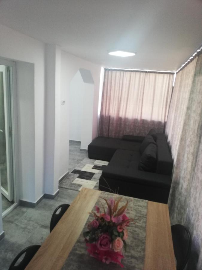 Apartament Brezoi Apartment Bagian luar foto