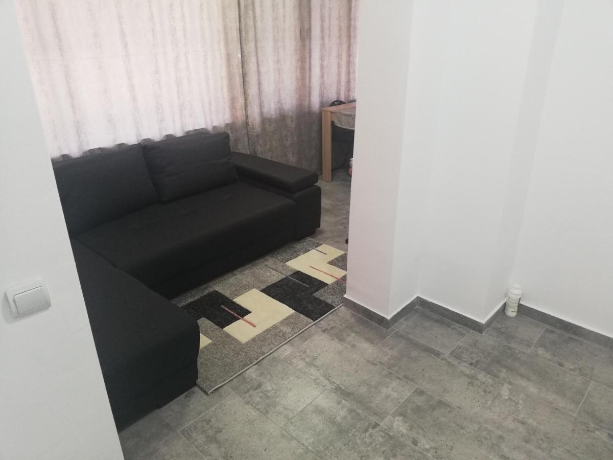 Apartament Brezoi Apartment Bagian luar foto