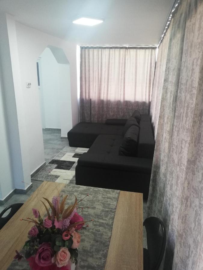 Apartament Brezoi Apartment Bagian luar foto