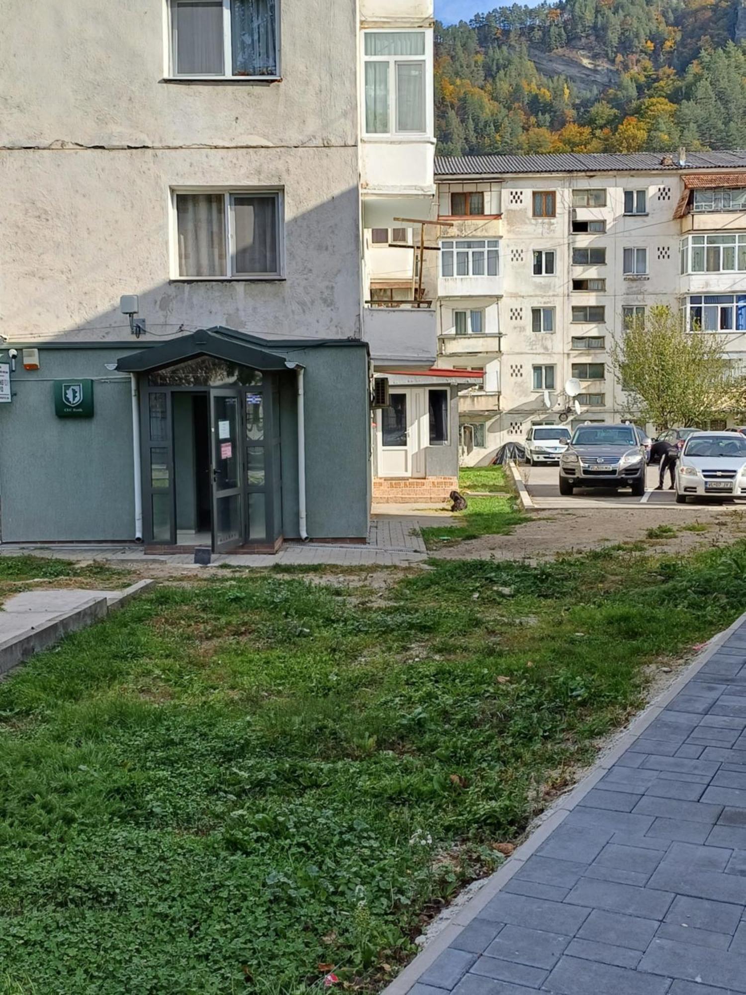Apartament Brezoi Apartment Bagian luar foto